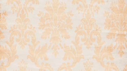 Josie 14X8 Ultracloth ( 168 X 96 Inch ) Backdrop