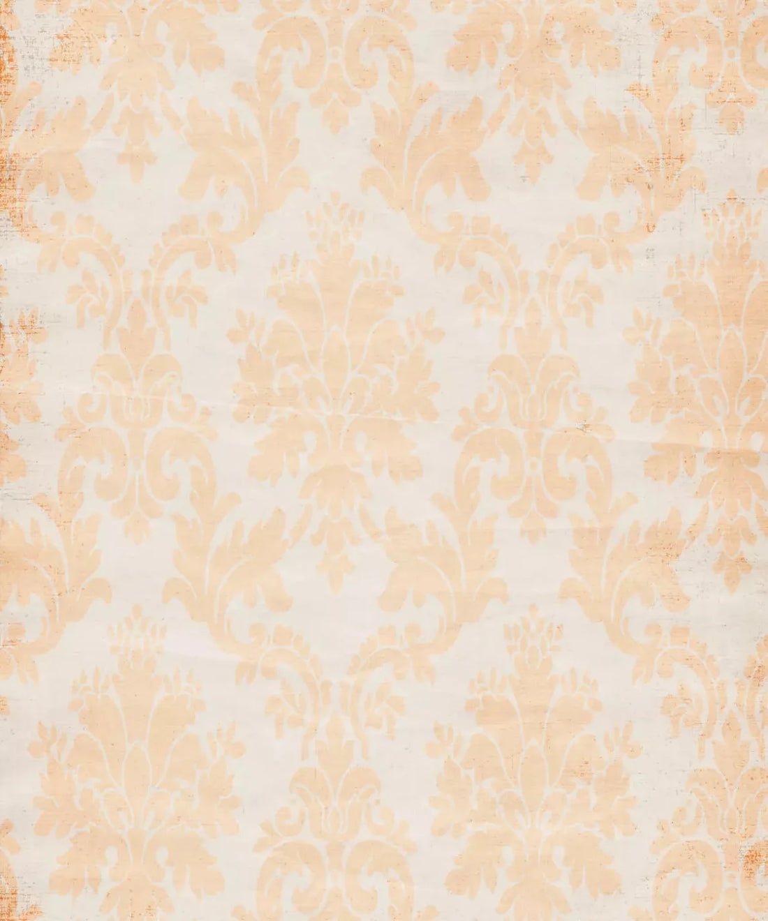 Beige Damask Backdrop for Photography