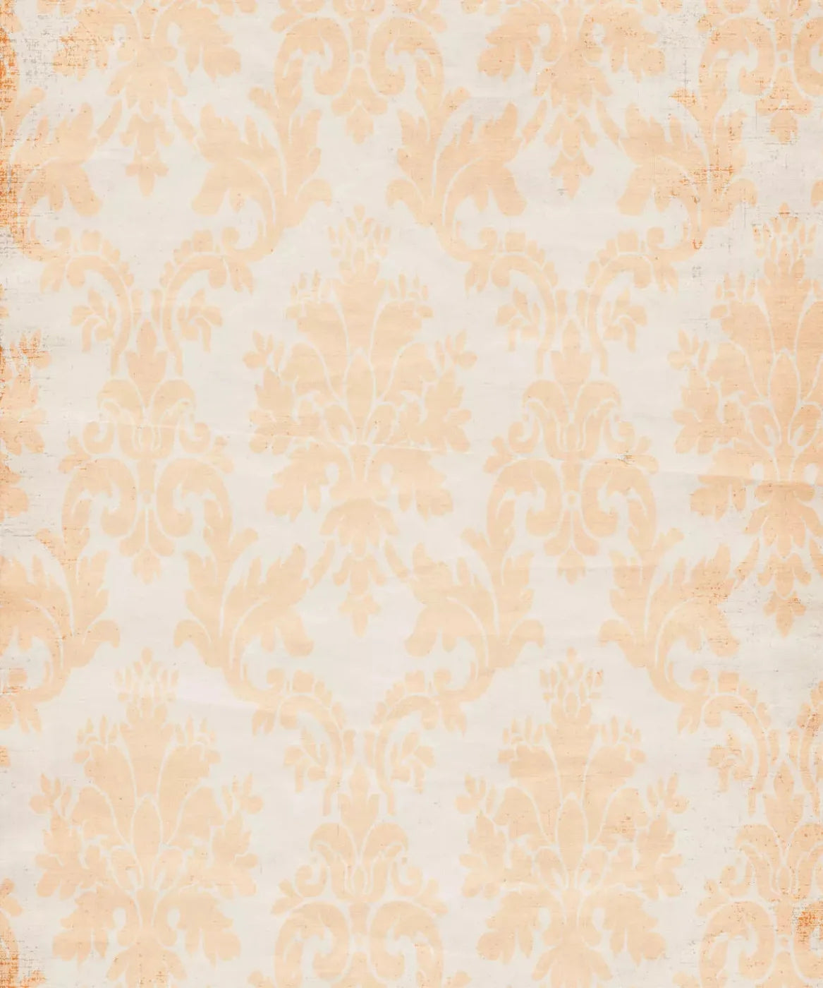 Beige Damask Backdrop for Photography