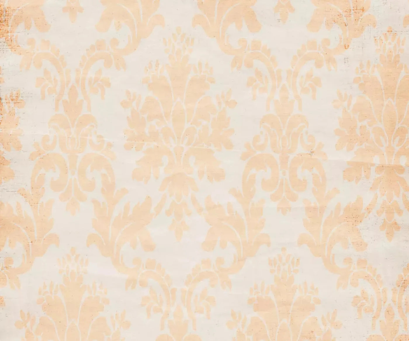 Josie 5X42 Fleece ( 60 X 50 Inch ) Backdrop