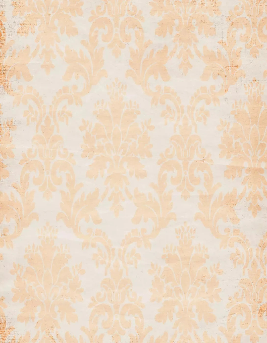 Josie 6X8 Fleece ( 72 X 96 Inch ) Backdrop