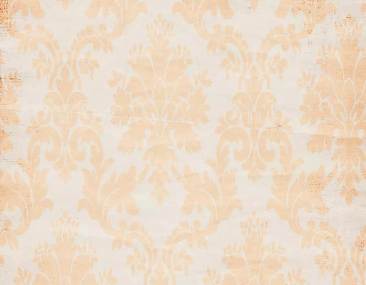 Josie 8X6 Fleece ( 96 X 72 Inch ) Backdrop