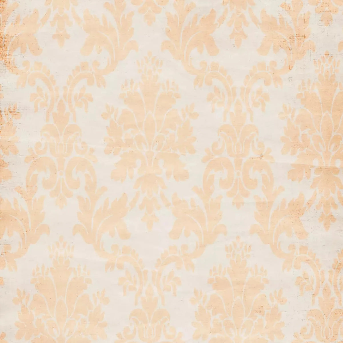 Josie Backdrop