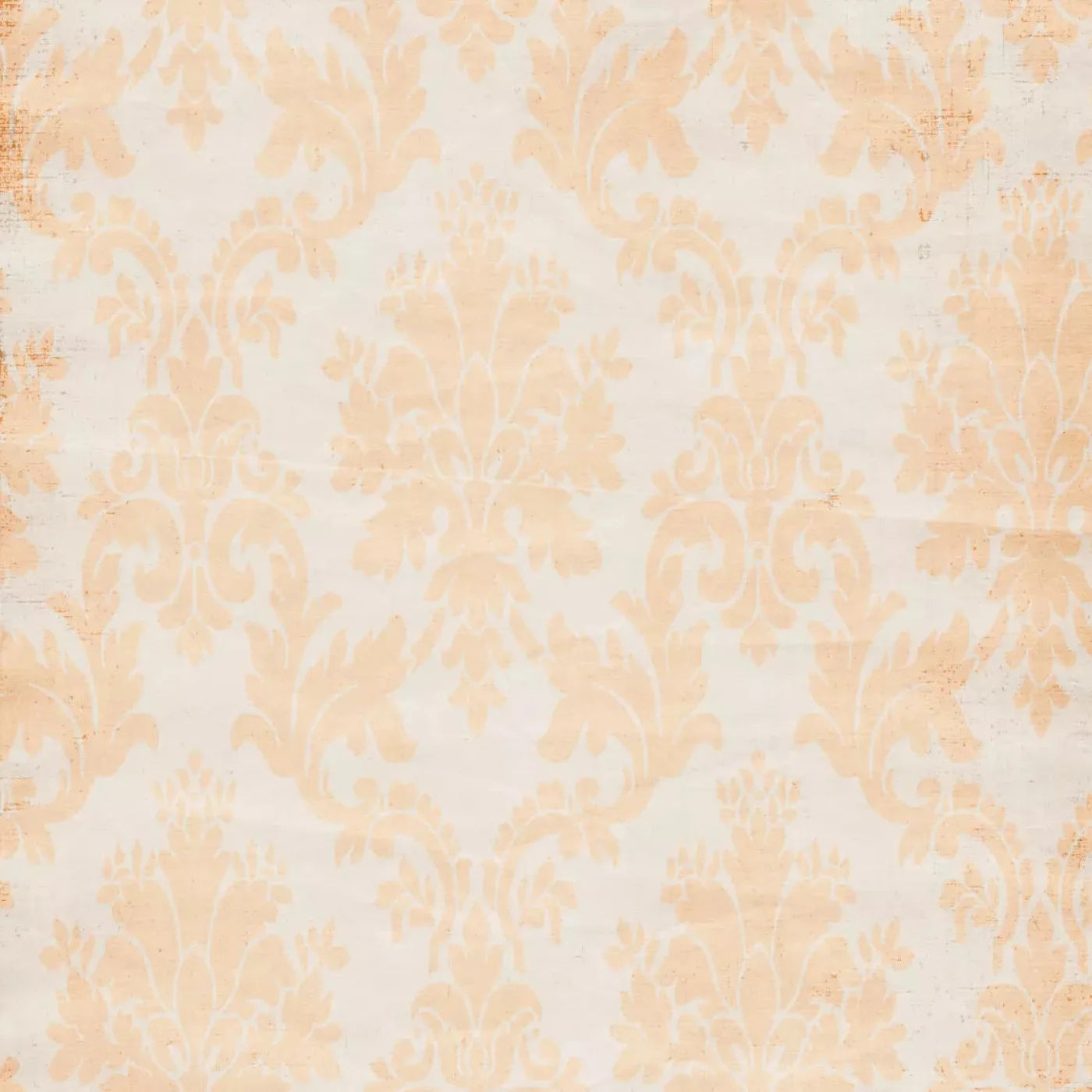 Josie Backdrop