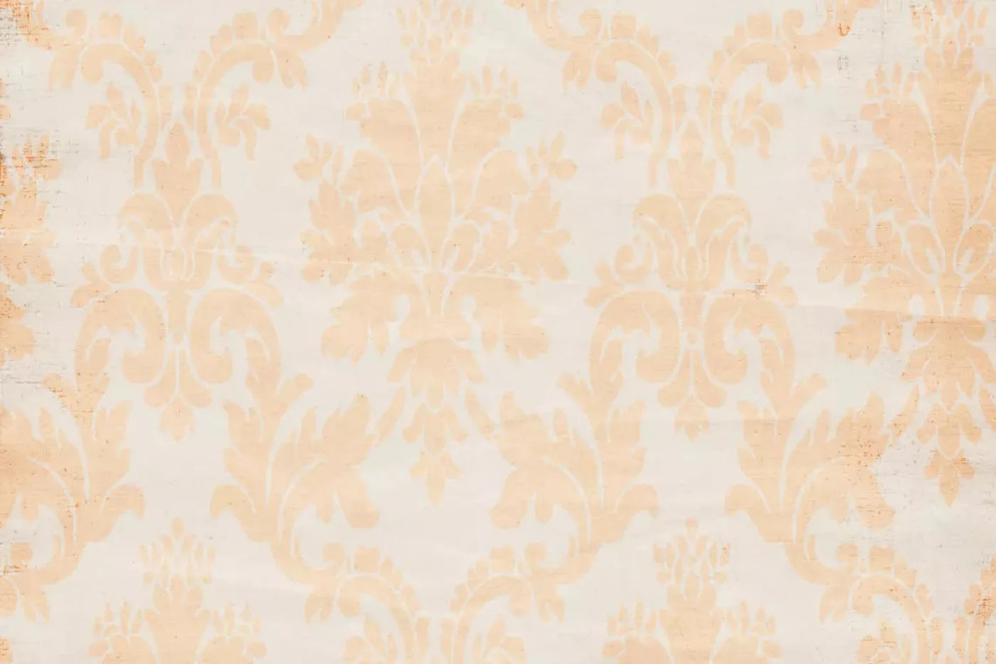 Josie Backdrop