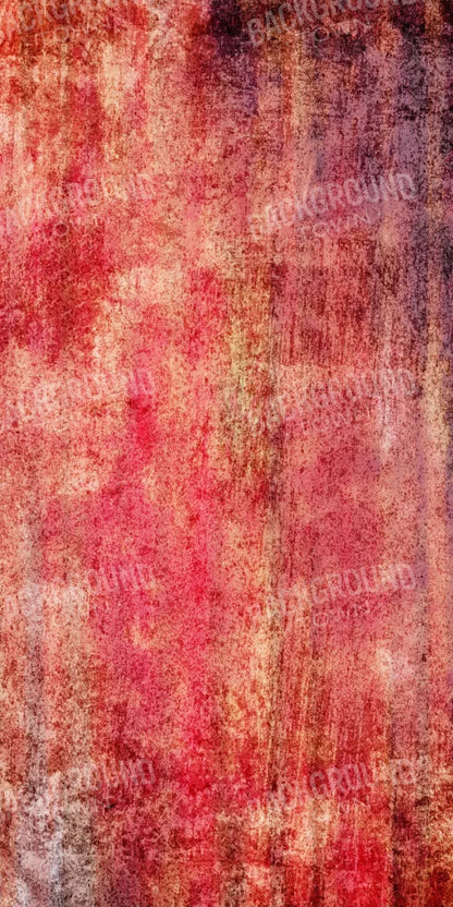 Journey 10X20 Ultracloth ( 120 X 240 Inch ) Backdrop