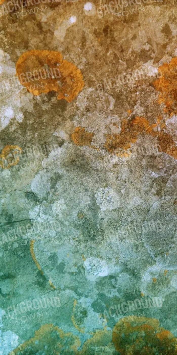 Juan 10X20 Ultracloth ( 120 X 240 Inch ) Backdrop