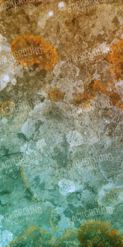 Juan 10X20 Ultracloth ( 120 X 240 Inch ) Backdrop