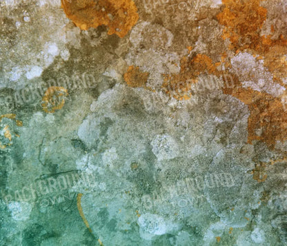 Juan 12X10 Ultracloth ( 144 X 120 Inch ) Backdrop