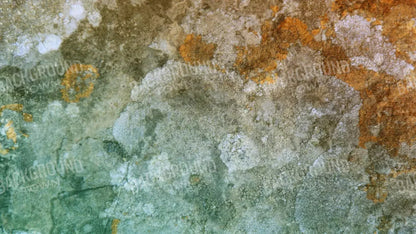 Juan 14X8 Ultracloth ( 168 X 96 Inch ) Backdrop