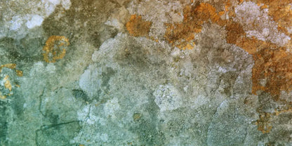 Juan 20X10 Ultracloth ( 240 X 120 Inch ) Backdrop