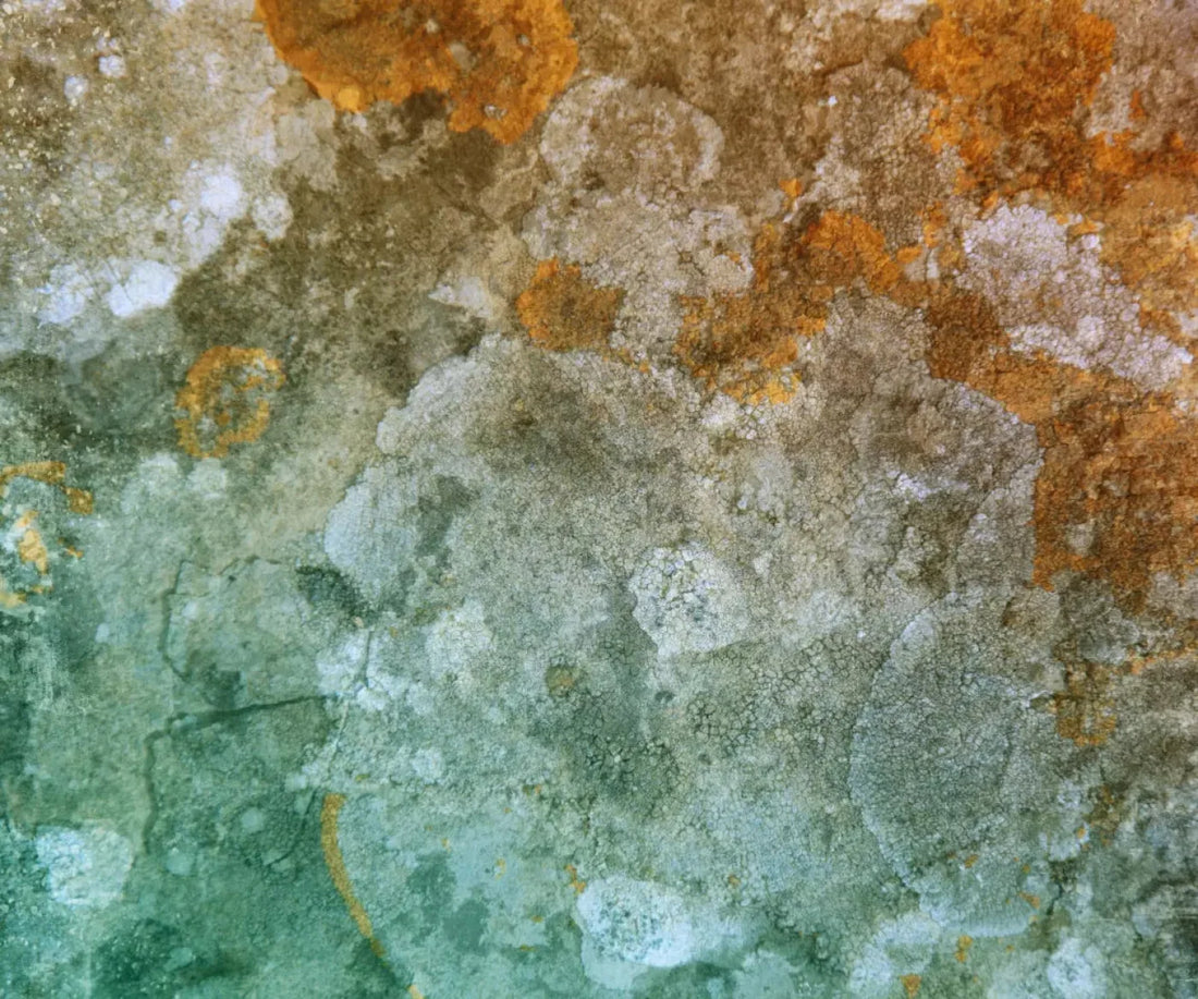 Juan 5X42 Fleece ( 60 X 50 Inch ) Backdrop