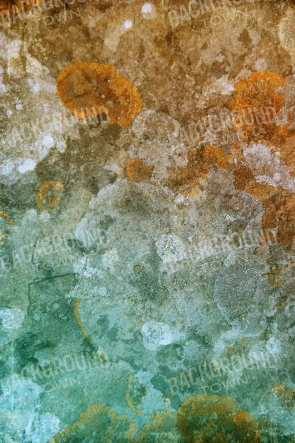 Juan 5X8 Ultracloth ( 60 X 96 Inch ) Backdrop