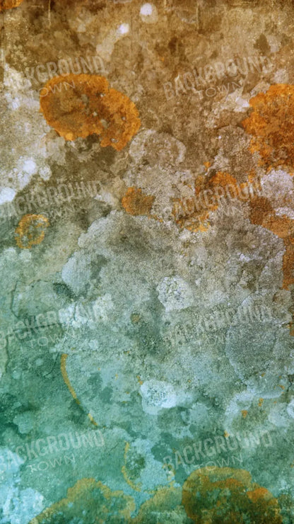 Juan 8X14 Ultracloth ( 96 X 168 Inch ) Backdrop