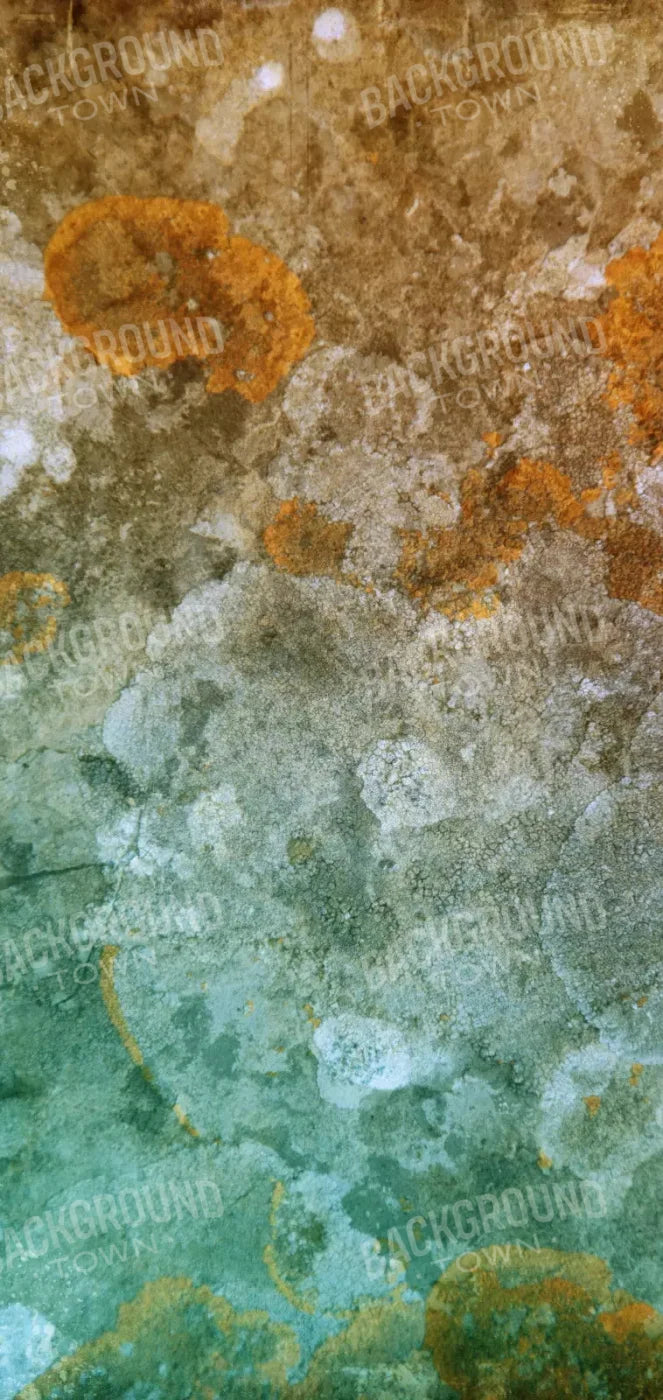 Juan 8X16 Ultracloth ( 96 X 192 Inch ) Backdrop