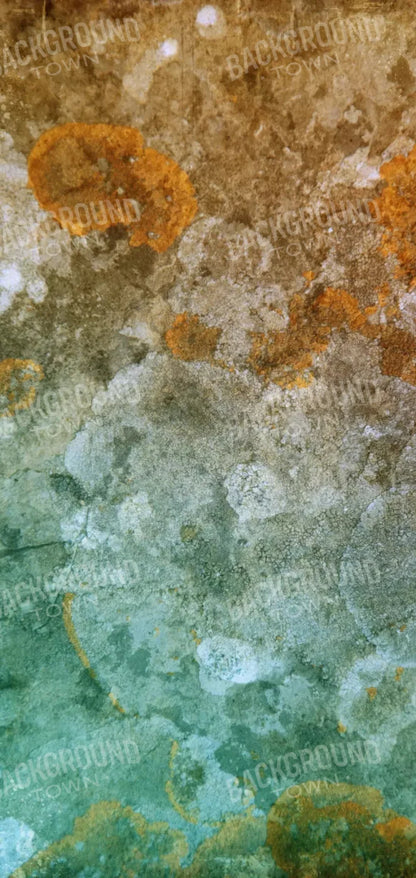 Juan 8X16 Ultracloth ( 96 X 192 Inch ) Backdrop