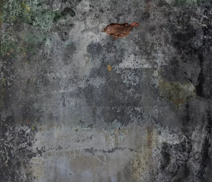 Judson 12X10 Ultracloth ( 144 X 120 Inch ) Backdrop