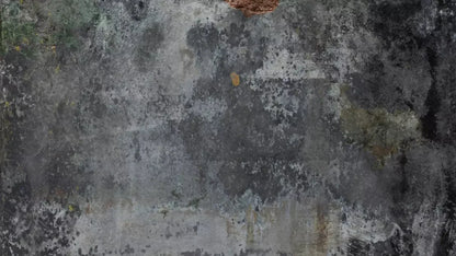 Judson 14X8 Ultracloth ( 168 X 96 Inch ) Backdrop