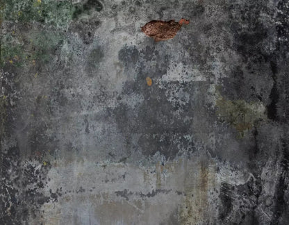 Judson 8X6 Fleece ( 96 X 72 Inch ) Backdrop