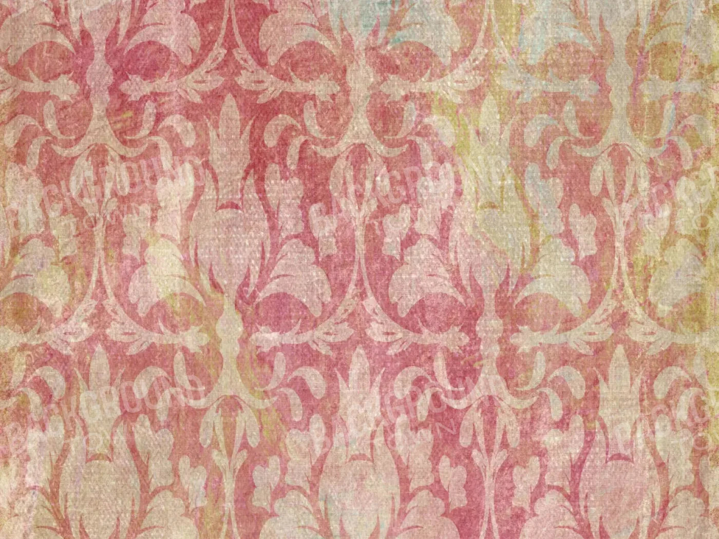 Julianne 68X5 Fleece ( 80 X 60 Inch ) Backdrop