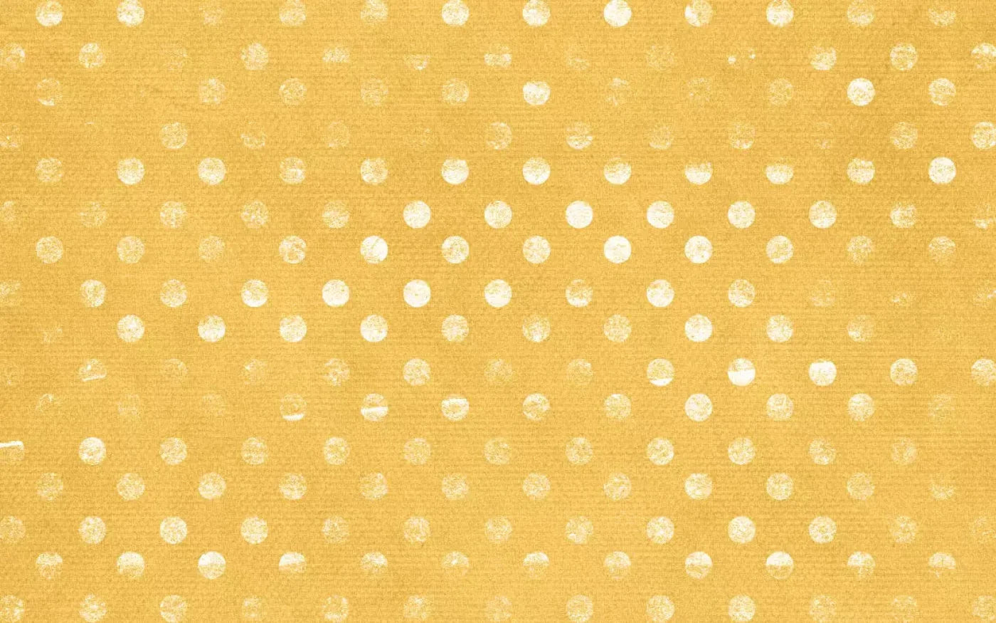 Julien 14X9 Ultracloth ( 168 X 108 Inch ) Backdrop