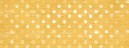 Julien 20X8 Ultracloth ( 240 X 96 Inch ) Backdrop