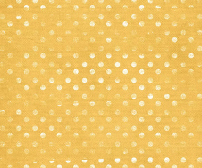 Julien 5X42 Fleece ( 60 X 50 Inch ) Backdrop