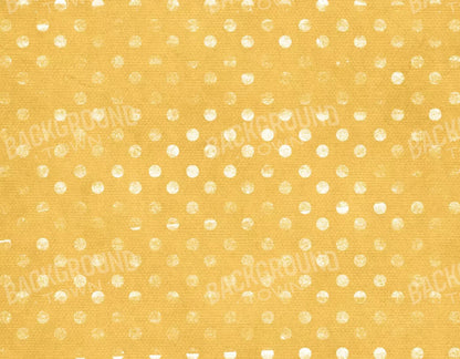 Julien 8X6 Fleece ( 96 X 72 Inch ) Backdrop