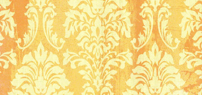 Julius 16’X8’ Ultracloth (192 X 96 Inch) Backdrop