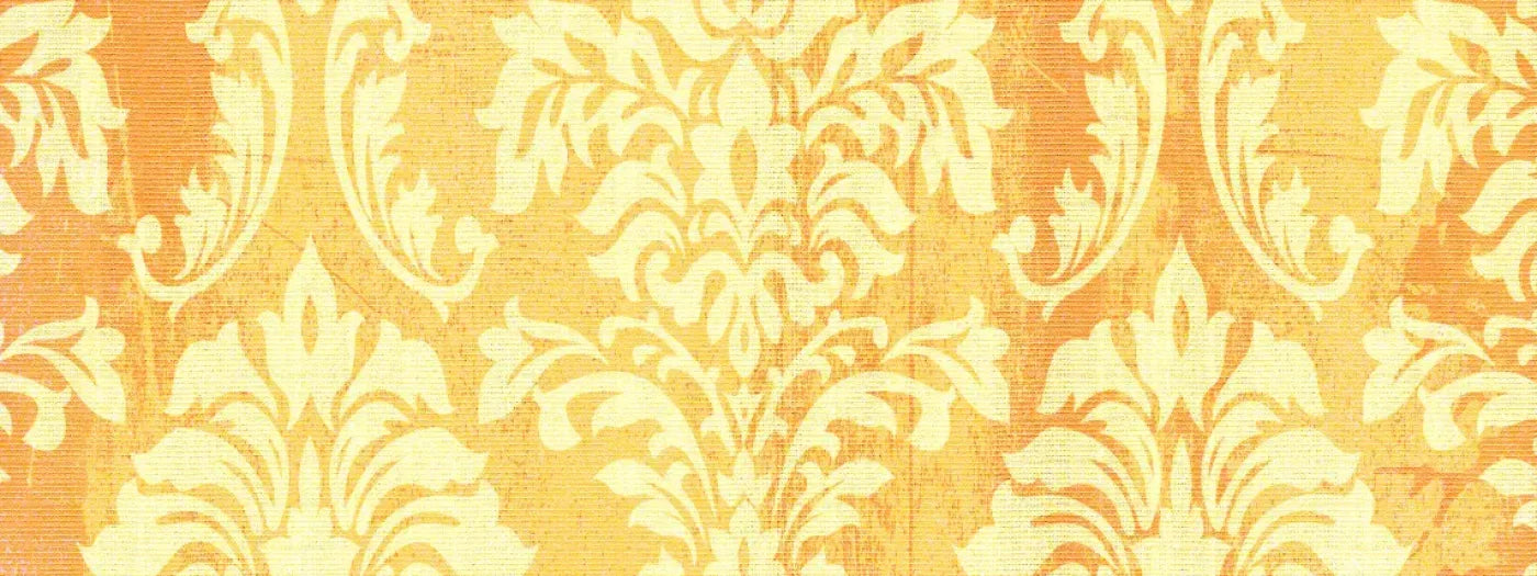 Julius 20’X8’ Ultracloth (240 X 96 Inch) Backdrop