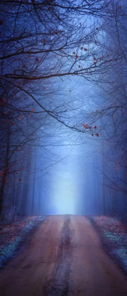 Just Before Dawn 5’X12’ Ultracloth For Westcott X-Drop (60 X 144 Inch) Backdrop