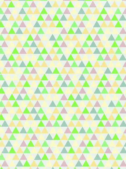 Kagan 8X10 Fleece ( 96 X 120 Inch ) Backdrop