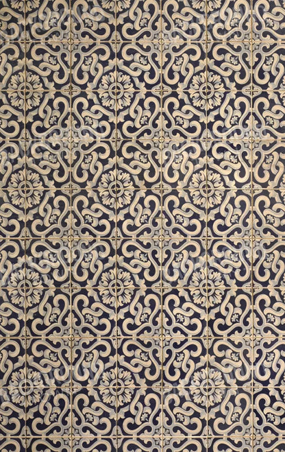 Kaitlyn 10X16 Ultracloth ( 120 X 192 Inch ) Backdrop