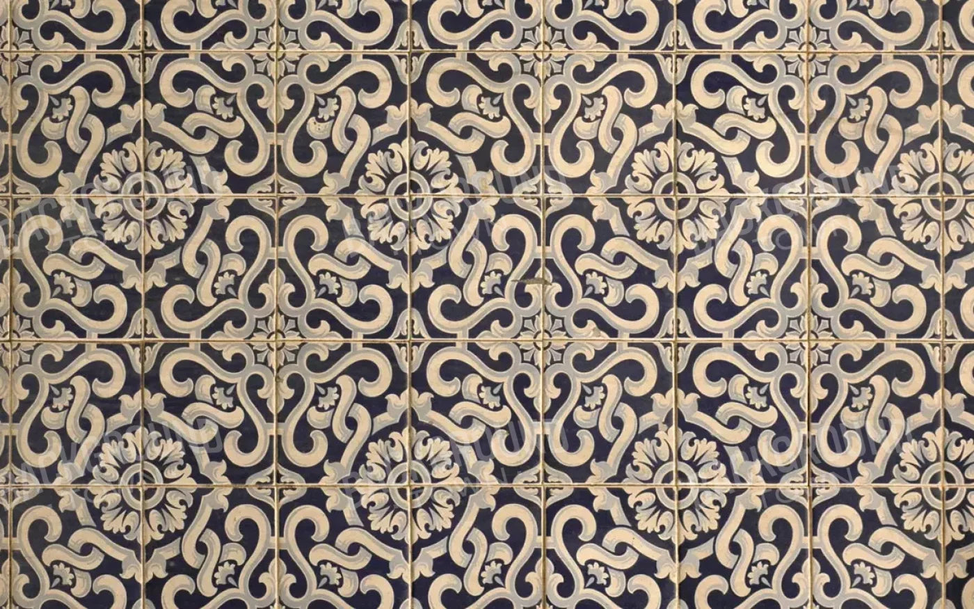 Kaitlyn 14X9 Ultracloth ( 168 X 108 Inch ) Backdrop