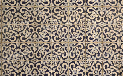 Kaitlyn 14X9 Ultracloth ( 168 X 108 Inch ) Backdrop