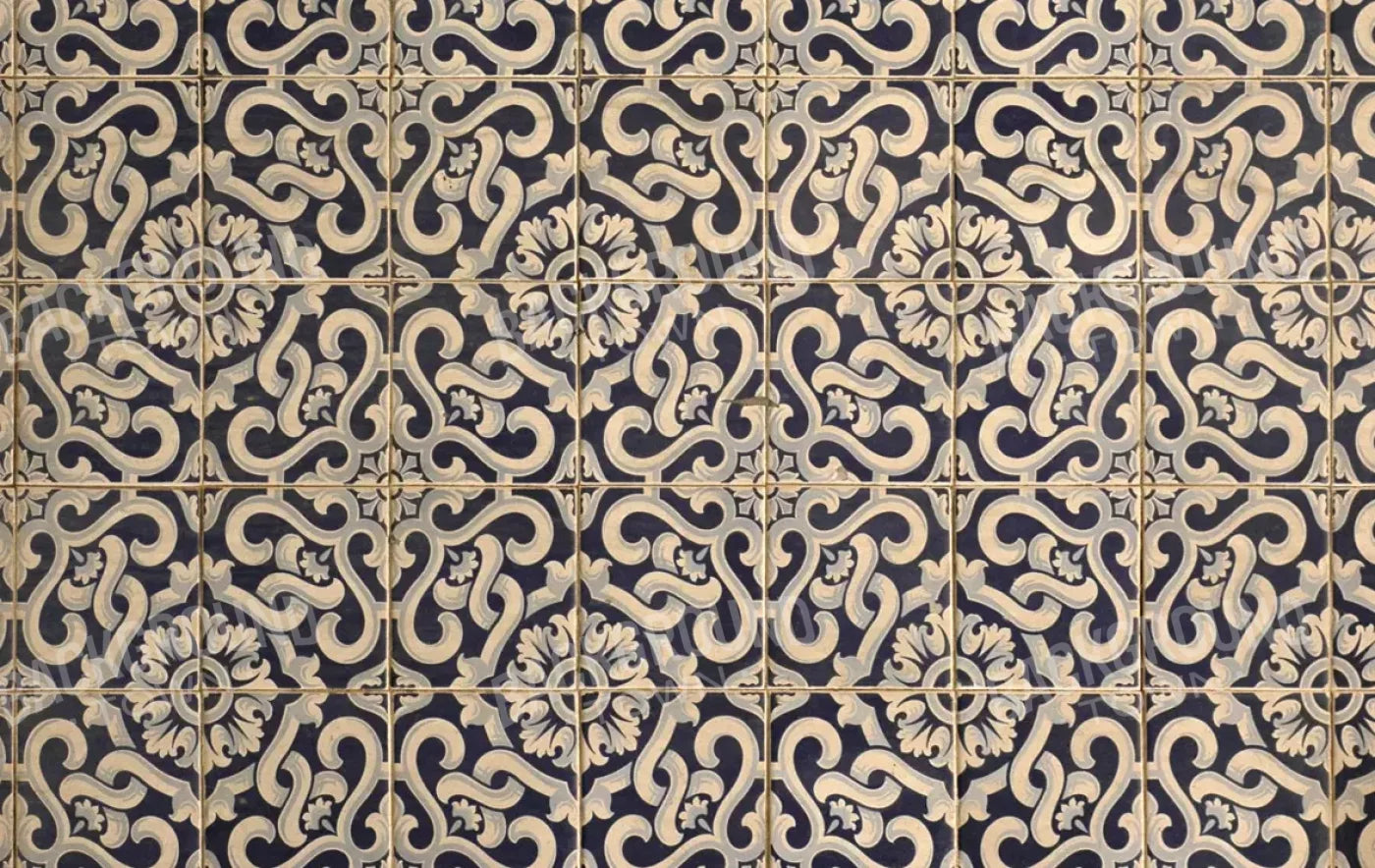 Kaitlyn 16X10 Ultracloth ( 192 X 120 Inch ) Backdrop