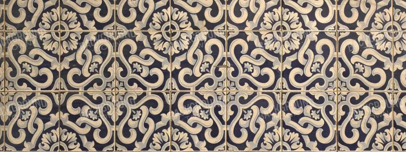 Kaitlyn 20X8 Ultracloth ( 240 X 96 Inch ) Backdrop