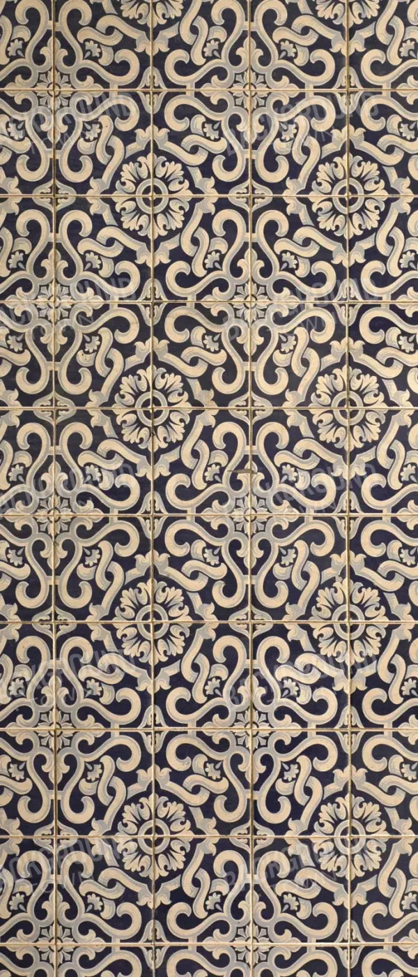 Kaitlyn 5X12 Ultracloth For Westcott X-Drop ( 60 X 144 Inch ) Backdrop