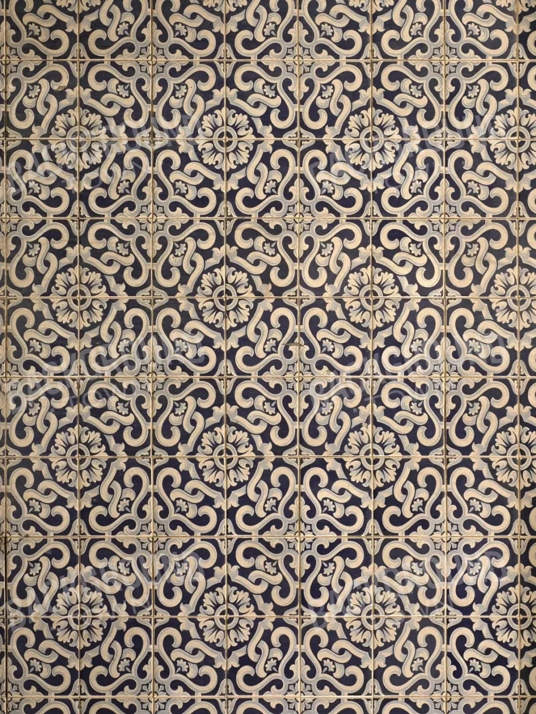 Kaitlyn 5X7 Ultracloth ( 60 X 84 Inch ) Backdrop