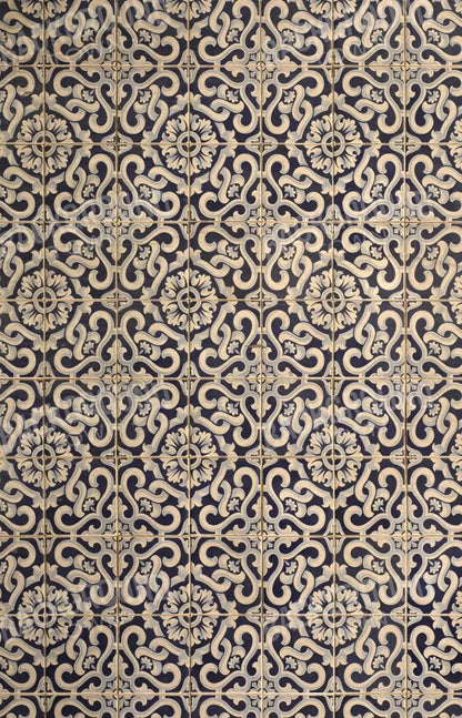 Kaitlyn 8X12 Ultracloth ( 96 X 144 Inch ) Backdrop