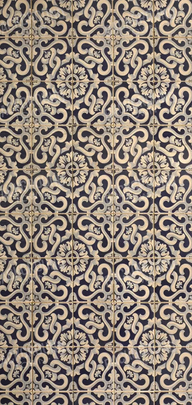 Kaitlyn 8X16 Ultracloth ( 96 X 192 Inch ) Backdrop