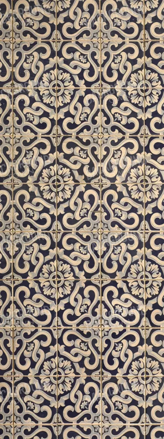 Kaitlyn 8X20 Ultracloth ( 96 X 240 Inch ) Backdrop