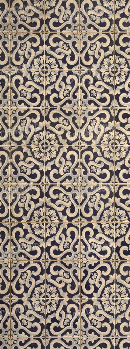 Kaitlyn 8X20 Ultracloth ( 96 X 240 Inch ) Backdrop