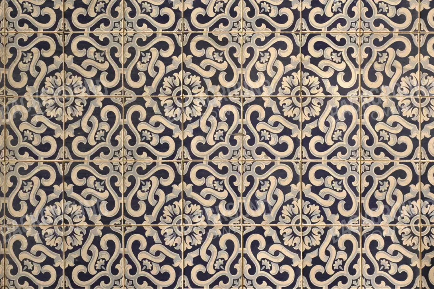 Kaitlyn 8X5 Ultracloth ( 96 X 60 Inch ) Backdrop