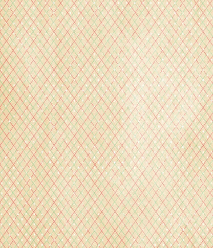 Katrina 10X12 Ultracloth ( 120 X 144 Inch ) Backdrop