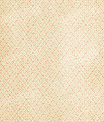 Katrina 10X12 Ultracloth ( 120 X 144 Inch ) Backdrop
