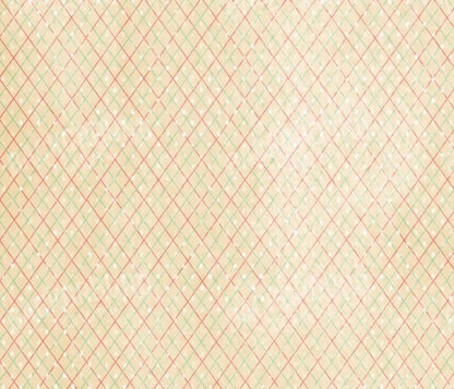 Katrina 12X10 Ultracloth ( 144 X 120 Inch ) Backdrop