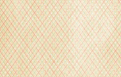 Katrina 16X10 Ultracloth ( 192 X 120 Inch ) Backdrop