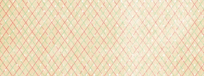 Katrina 20X8 Ultracloth ( 240 X 96 Inch ) Backdrop
