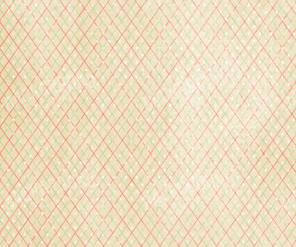 Katrina 5X42 Fleece ( 60 X 50 Inch ) Backdrop